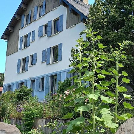 Chalet du Doumet Appartement 4 étoiles et Garage privé Luz-Saint-Sauveur Esterno foto